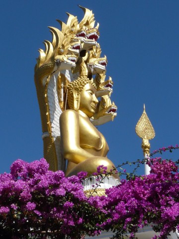 Buddha under Naga with flowers